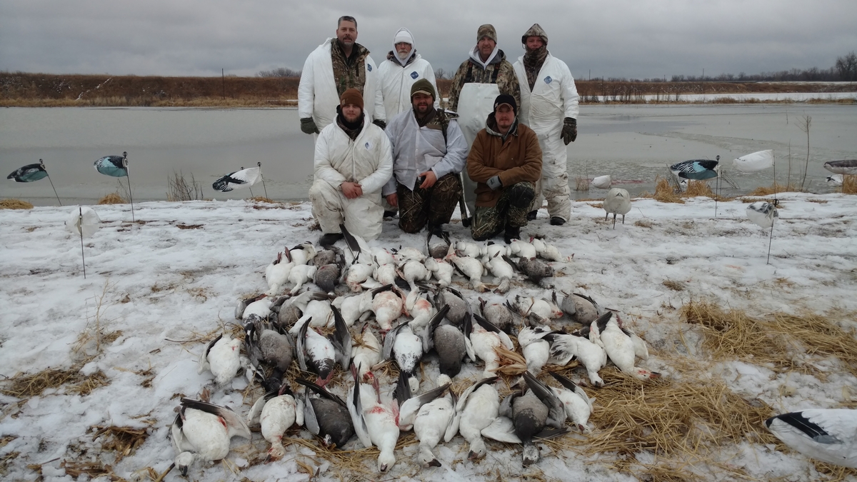 Missouri Snow Goose Hunting Photo